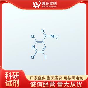 魏氏试剂  2,6-二氯-3-甲酰胺-5-氟吡啶—113237-20-0