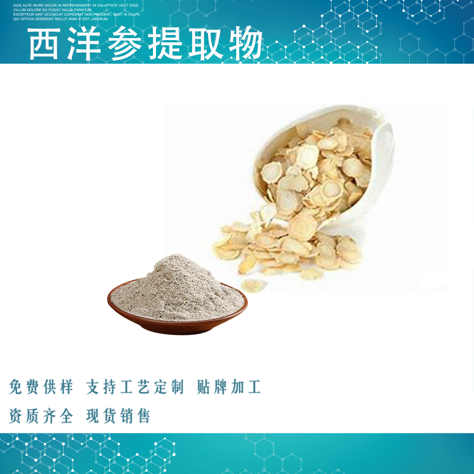 西洋参提取物,Panax Ginseng Extract