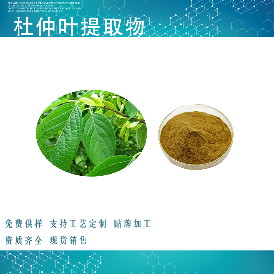 杜仲葉提取物,Cortex Eucommiae