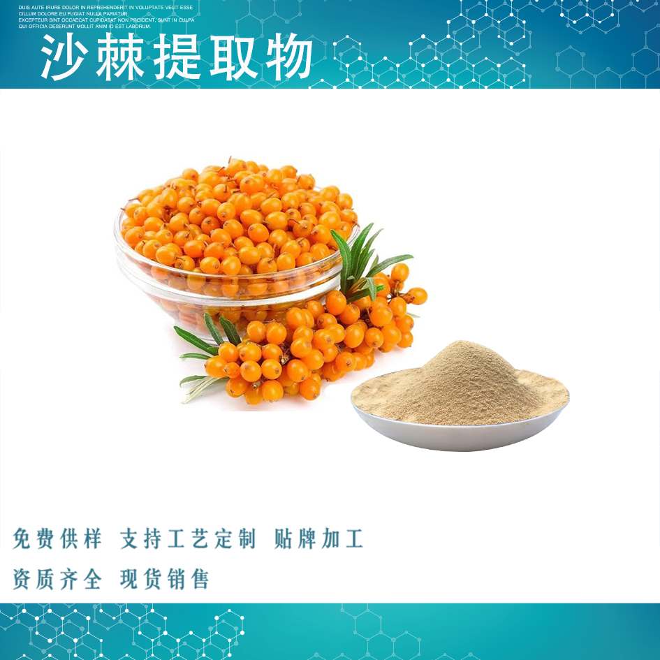 沙棘提取物,Hippophae rhamnoides, ext.