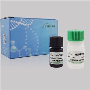 Cell Counting Kit-8（CCK-8）细胞增殖检测试剂盒 C6005M