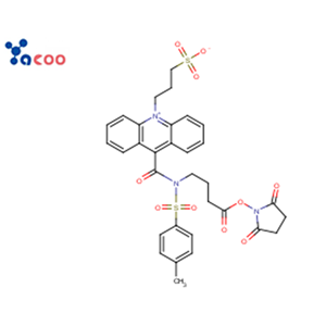 吖啶盐(NSP-SA-NHS),3-[9-(((3-(N-succinimidyloxycarboxypropyl)[4-methxylphenyl]sulfonyl)amine)carboxyl]-10-acridiniumyl)-1-propanesulfonate inner salt (NSP-SA-NHS)