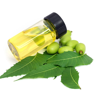 苦楝油,NEEM OIL