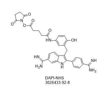 DAPI-NHS,DAPI-NHS