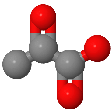 丙酮酸,Pyruvic acid