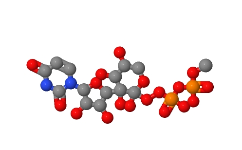 二磷酸尿苷木糖,Uridine diphosphoxylose