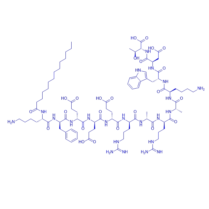 整合素信號傳導抑制劑多肽,Integrin signaling inhibitor, mP13