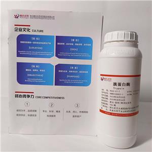 胰蛋白酶,trypsin