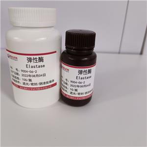 弹性酶,Elastase