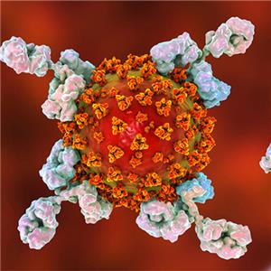 重組包膜蛋白Envelope protein-ACROBiosystems百普賽斯