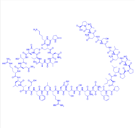 卡格列肽,Cagrilintide