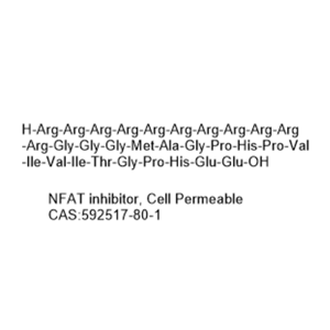 NFAT inhibitor, Cell Permeable
