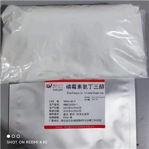 磷霉素氨丁三醇,Fosfomycin tromethamine