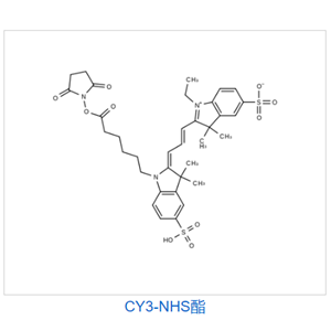 CY3-NHS酯
