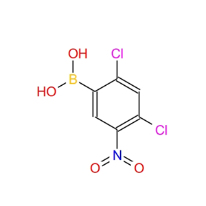 2,4-二氯-5-硝基苯硼酸 1072952-12-5