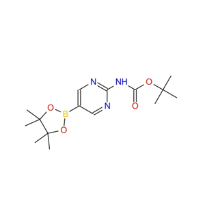 [2-(叔丁氧羰基氨基)嘧啶-5-基]硼酸频哪醇酯 1032758-88-5