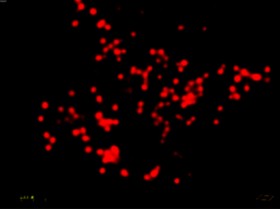 AIE超分辨成像脂滴红色探针,AIE Super-Resolution RED - Lipid Droplets
