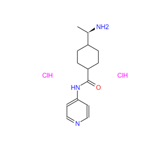 Y27632 (hydrochloride),Y27632 (hydrochloride)