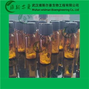 非布司他雜質(zhì)6,Febuxostat Impurity 6