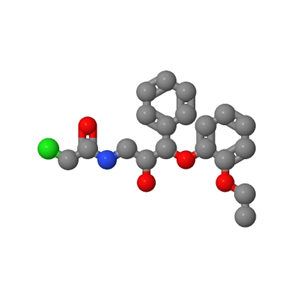 2-氯-N-[3-(2-乙氧基苯氧基)-2-羟基-3-苯基丙基]乙酰胺
