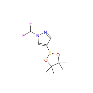 1-(二氟甲基)-4-(4,4,5,5-四甲基-1,3,2-二氧硼杂环戊烷-2-基)-1H-吡唑 1206640-82-5