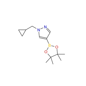 1-(环丙基甲基)-4-(4,4,5,5-四甲基-1,3,2-二噁硼烷-2-基)-1H-吡唑 1000801-75-1