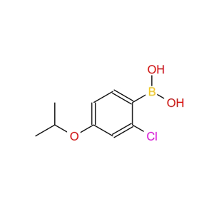 (2-氯-4-异丙氧基苯基)硼酸,(2-Chloro-4-isopropoxyphenyl)boronic acid
