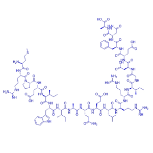 Bcl-2蛋白家族片段多肽/505070-06-4/Bim BH3
