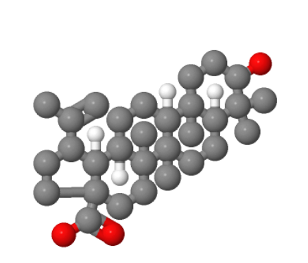 白桦脂酸,Betulinic acid