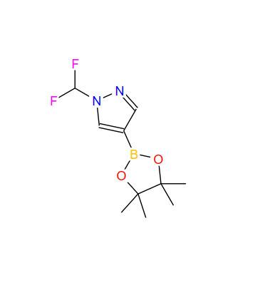 1-(二氟甲基)-4-(4,4,5,5-四甲基-1,3,2-二氧硼杂环戊烷-2-基)-1H-吡唑,1-(difluoromethyl)-4-(4,4,5,5-tetramethyl-1,3,2-dioxaborolan-2-yl)-1H-pyrazole