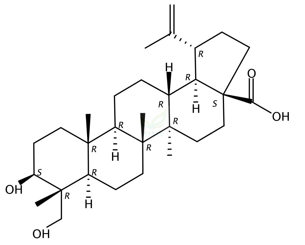 23-羟基白桦酸,Anemosapogenin