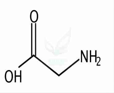 甘氨酸,Glycine