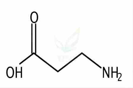 β-丙氨酸,β-Alanine