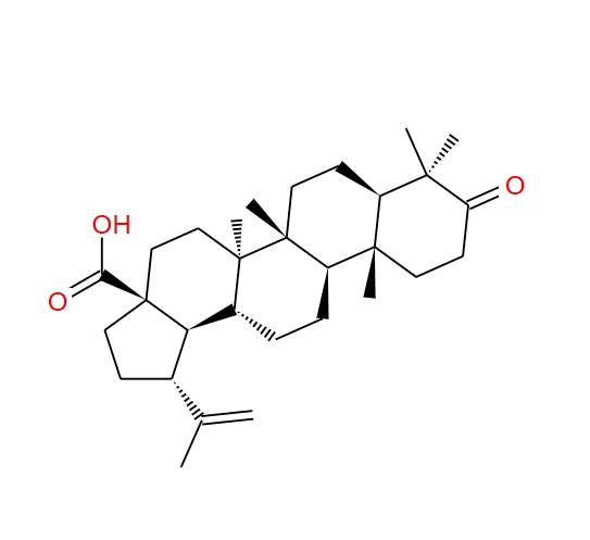 白桦脂酮酸,Betulonic acid