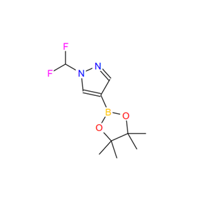 1206640-82-5;1-(二氟甲基)-4-(4,4,5,5-四甲基-1,3,2-二氧硼杂环戊烷-2-基)-1H-吡唑;