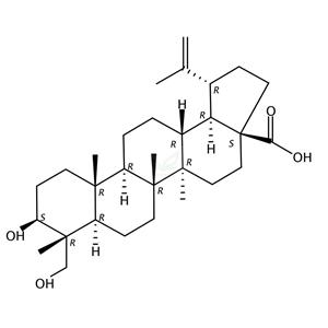 23-羟基白桦酸,Anemosapogenin