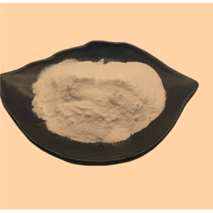 亚精胺 磷酸盐49721-50-8