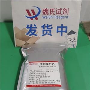 头孢噻肟钠,Cefotaxime Sodium