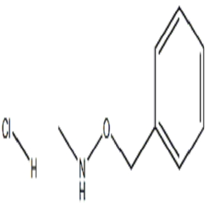 O-苄基-N-甲基羟胺盐酸盐,O-Benzyl-N-methylhydroxylamine hydrochloride