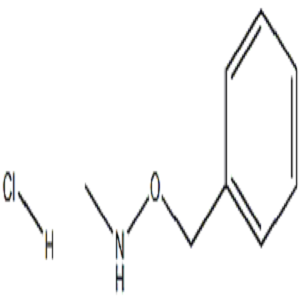 O-苄基-N-甲基羟胺盐酸盐