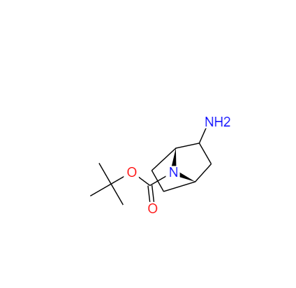 (1R,2R,4S)-叔-2-氨基-7-氮杂双环[2.2.1]庚烷-7-羧酸叔丁酯,tert-butyl (1R,2R,4S)-rel-2-amino-7-azabicyclo[2.2.1]heptane-7-carboxylate