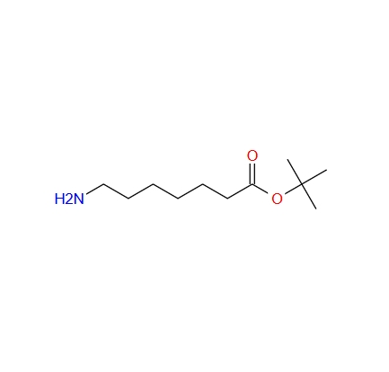 7-氨基庚酸叔丁酯,7-amino- Heptanoic acid 1,1-dimethylethyl ester