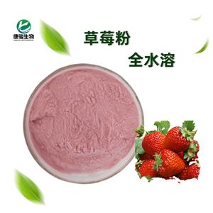 草莓提取物 草莓粉 速溶 味道浓郁 长期供应