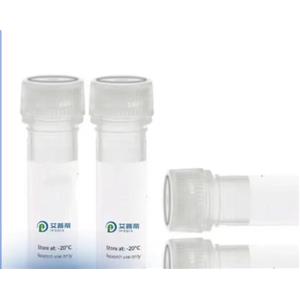 KDM4C抗体；KDM4C antibody 艾普蒂生物              