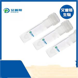 MRC1抗体；MRC1 antibody 艾普蒂生物              