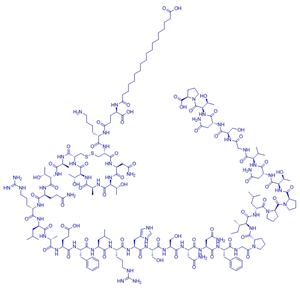 卡格列肽/1415456-99-3/Cagrilintide