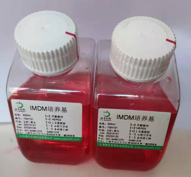 人喉表皮样癌细胞HEp-2,HEp2