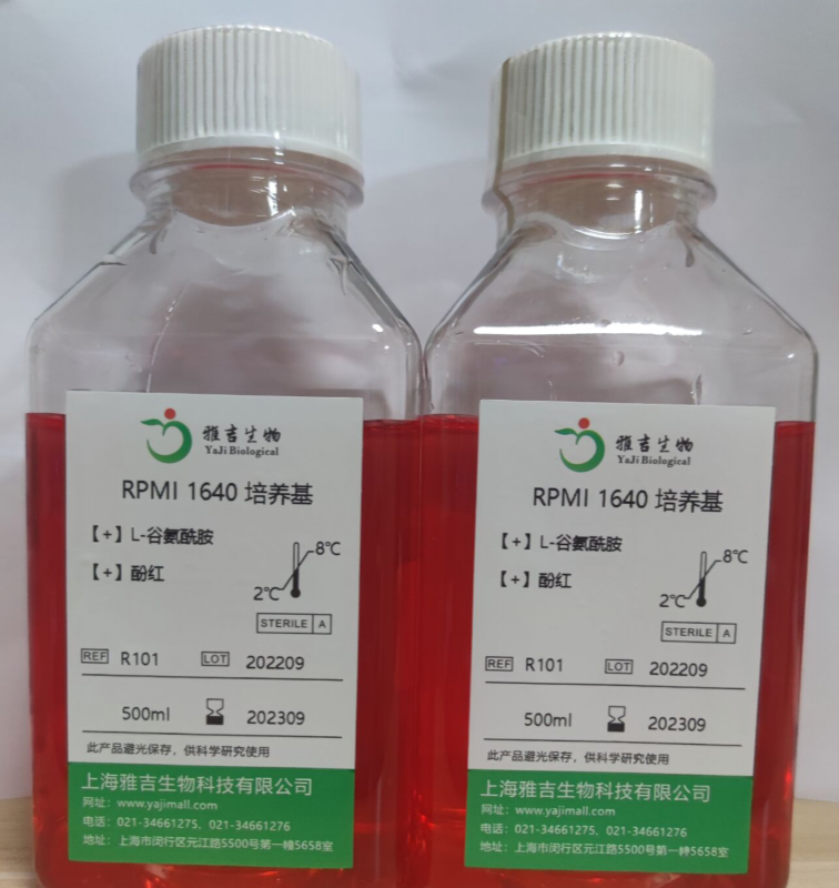 小鼠腦神經(jīng)膠質(zhì)母細(xì)胞瘤瘤株帶綠色熒光G422/GFP,G422/GFP