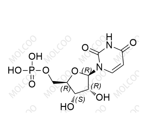 5'-尿苷酸,5'-uridine