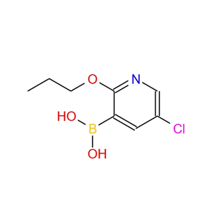 2-丙氧基-5-氯-3-吡啶硼酸 1217501-43-3